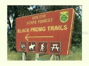 SE 168 Ave., Morriston, FL 32668