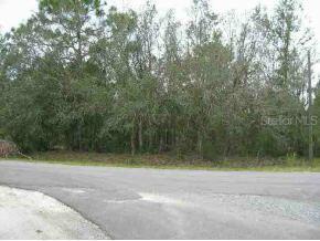 Bahia Circle Loop, Ocala, FL 34472