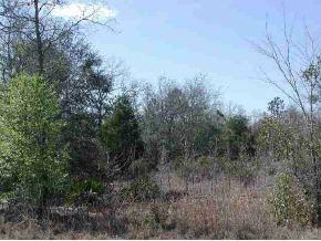 NE 136 Ave., Williston, FL 32696