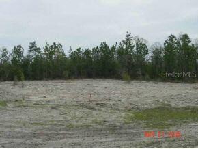 SW 117 Pl., Ocala, FL 34476
