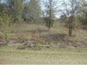 SE 142 Ln., Summerfield, FL 34491