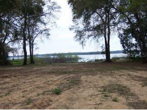NE 131 Null Ln., Salt Springs, FL 32134