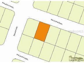 Malauka Rad Ln., Ocklawaha, FL 32179