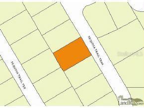 Sequoia Trk Tr., Ocklawaha, FL 32179