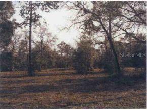 NE 148 Null Ave., Fort Mccoy, FL 32134