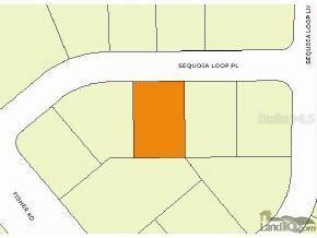 Sequoia Lp Pl., Ocklawaha, FL 32179