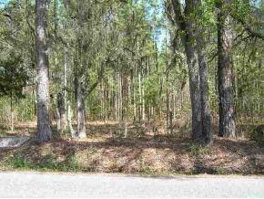 NW 150 Ave., Williston, FL 32696