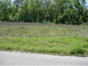 SE 59 St., Ocklawaha, FL 32179