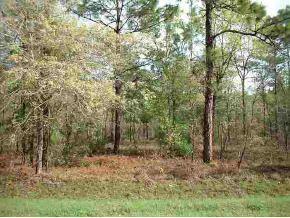 SW 22 Ln., Ocala, FL 34481