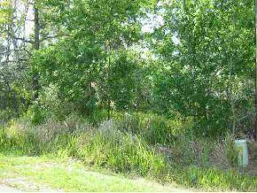 Pine Radial Run, Ocala, FL 34472