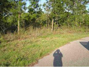 SW 77 Cir., Ocala, FL 34473