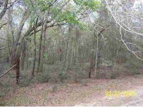 SE 162 Pl., Summerfield, FL 34491
