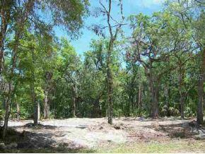 Southeast 151st St., Summerfield, FL 34491