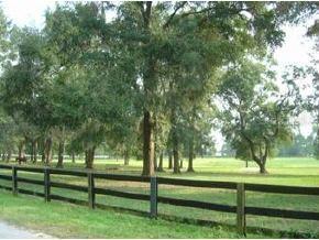 8422 SW 38th Ave., Ocala, FL 34476