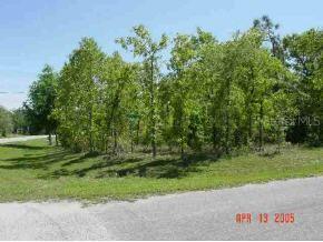 SE Spring Silver Ct., Silver Springs Shores, FL 34472