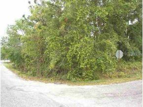 SE 14 St., Ocklawaha, FL 32179