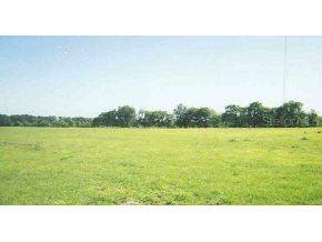 250 St., Newberry, FL 32669