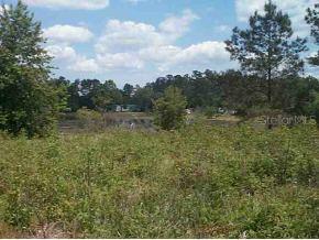 17991 SE 90 St., Ocklawaha, FL 32179