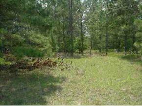Locust Crse Pass, Ocala, FL 34472