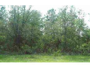 SW 68 Ter., Ocala, FL 34482