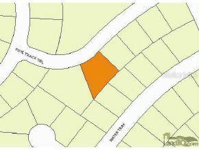 TBD Pine Track Tr., Ocala, FL 34472