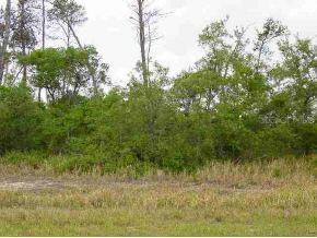 Spruce Silver Rd., Silver Springs Shores, FL 34472