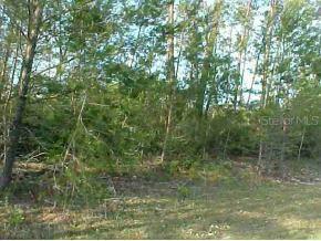 L10B351 SW L10b351 156 Loop, Ocala, FL 34473