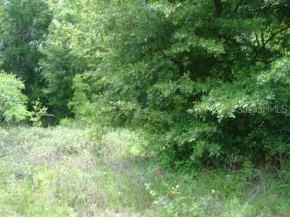 SE 26 Ter., Summerfield, FL 34491
