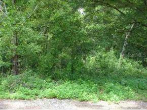 SE 34 Ter., Belleview, FL 34420