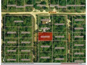 SE 98 Ct., Summerfield, FL 34479
