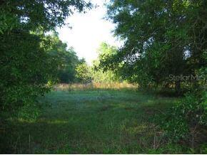 3890 NW 155 St., Reddick, FL 32686