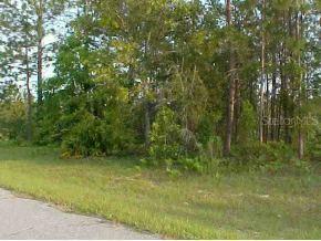 L10B966 SW L10b966 131 Loop, Ocala, FL 34473