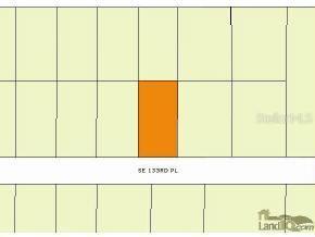 TBD Tbd 133 Pl., Belleview, FL 34420