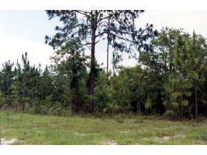 SW 78 Cir., Ocala, FL 34473