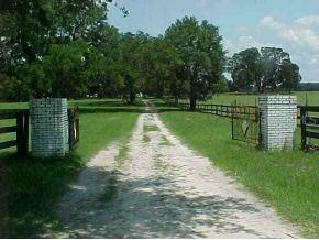 2231 NE Highway 41, Williston, FL 32696