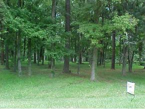 NW 80 Ave., Ocala, FL 34482