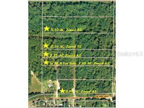 SE Highway 464c, Ocklawaha, FL 32179