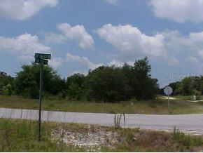 L19/B11 SW L19/b11 113 Ln., Ocala, FL 34472