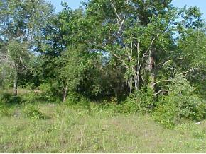 L18/B11 SW L18/b11 113 Ln., Ocala, FL 34472