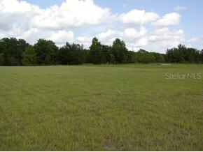 12370 Cr 223, Oxford, FL 34484