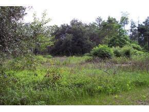 19391 SE 91 Pl., Ocklawaha, FL 32179
