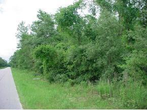 NE 110 Null Ave., Orange Springs, FL 32182