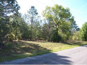 SW 105 Ave., Ocala, FL 34481