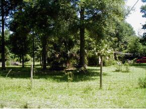 12940 SE 37 Ct., Belleview, FL 34420