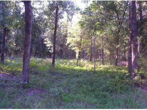 22122 SE 111 Ave., Hawthorne, FL 32640