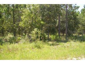 NE 138 Ave., Williston, FL 32621
