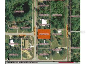 SE 184 Ter., Ocklawaha, FL 32179