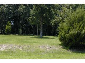 SE 142 Pl., Summerfield, FL 34491