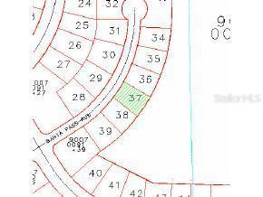 SE Bahia Ps Rn, Ocala, FL 34472