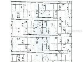 NE 162 Pl., Citra, FL 32113
